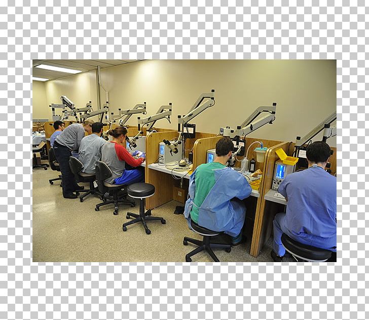 Temporal Bone Dissection Course University Of Tennessee PNG, Clipart, Architectural Designer, Architecture, Bone, Dissection, Fitness Centre Free PNG Download