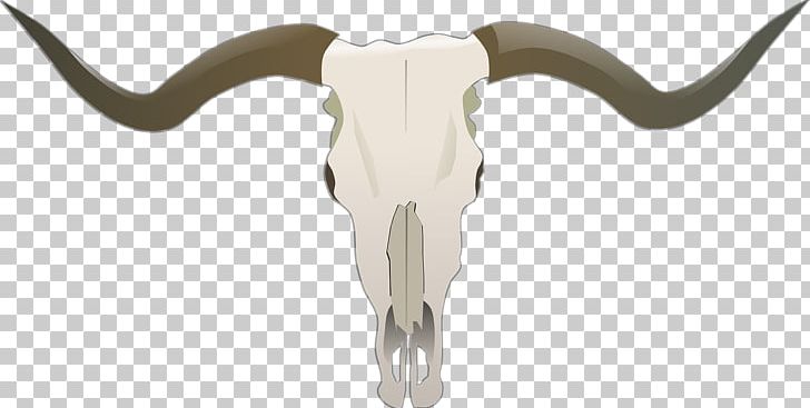 Texas Longhorn English Longhorn Bull PNG, Clipart, Animal Figure, Animals, Bone, Bull, Cattle Free PNG Download