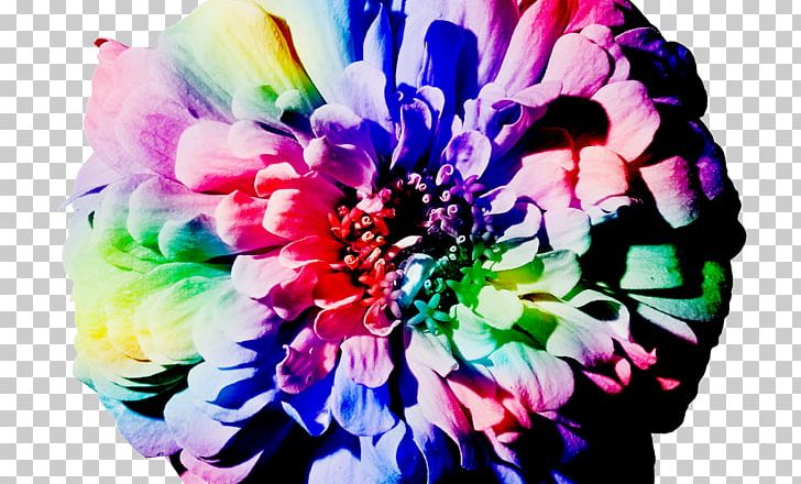 Cut Flowers Floral Design Floristry Mindfulness PNG, Clipart, Chrysanthemum, Chrysanths, Creativity, Cut Flowers, Floral Design Free PNG Download