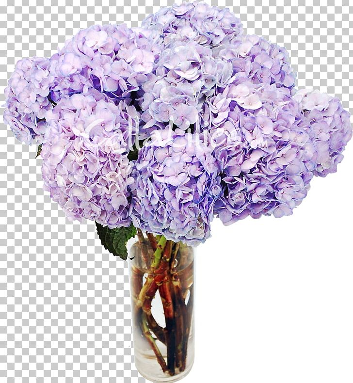 Hydrangea Cut Flowers Lavender Plant PNG, Clipart, Artificial Flower, Color, Cornales, Cut Flowers, Floral Design Free PNG Download