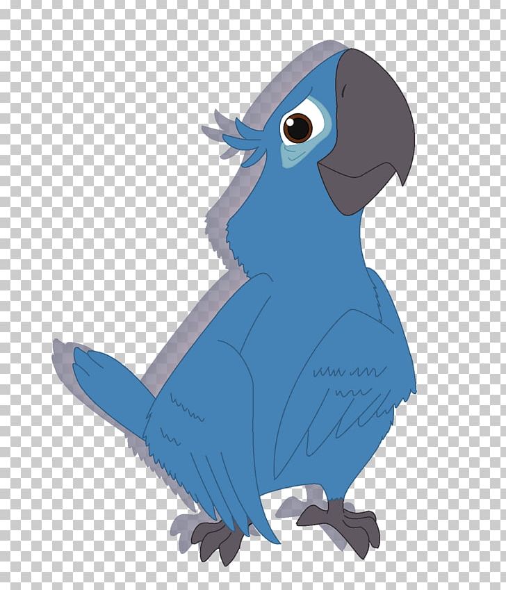 Macaw Parrot Beak Feather PNG, Clipart, Animals, Beak, Bird, Blue, Cobalt Free PNG Download