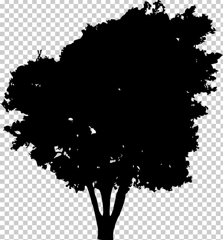 Tree Silhouette PNG, Clipart, Black, Black And White, Branch, Computer Wallpaper, Drawing Free PNG Download