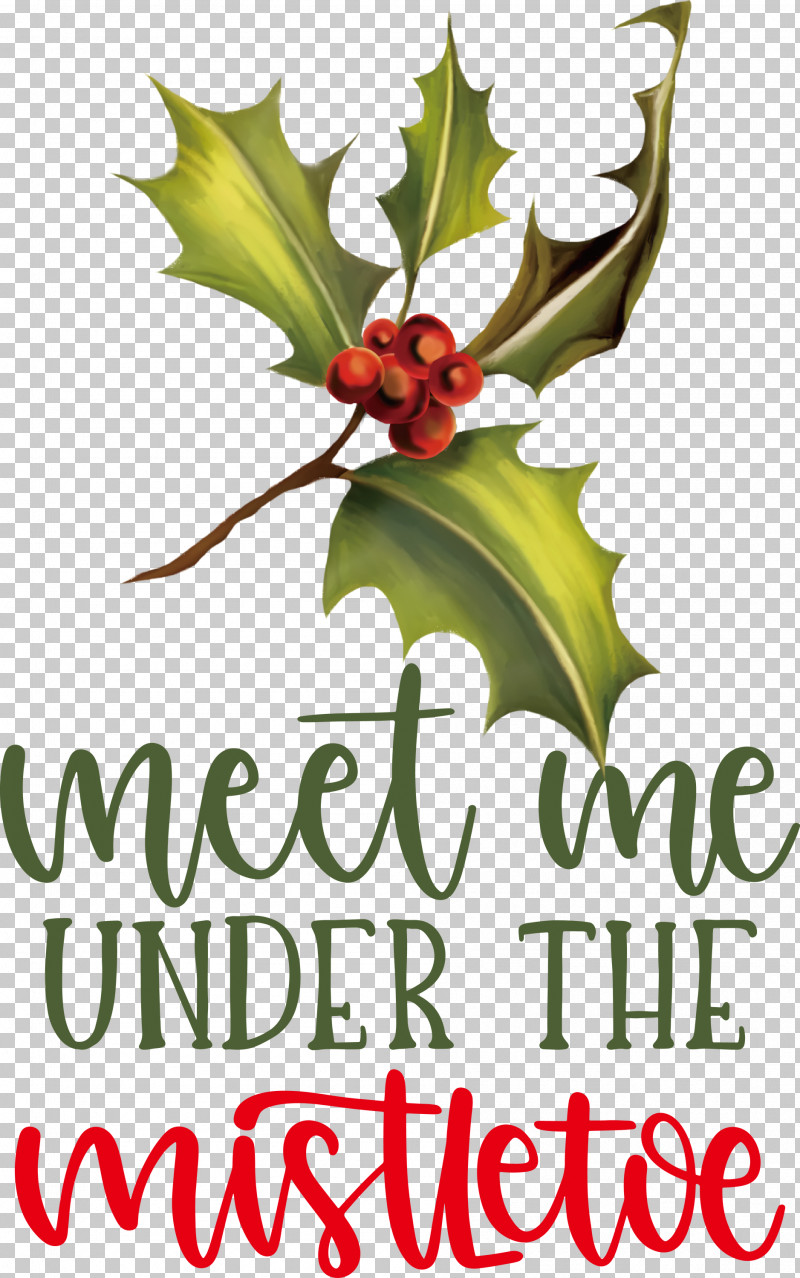 Meet Me Under The Mistletoe Mistletoe PNG, Clipart, Aquifoliaceae, Aquifoliales, Biology, Flower, Fruit Free PNG Download