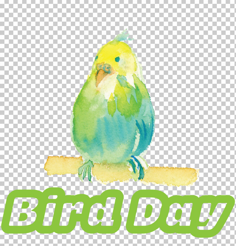 Bird Day Happy Bird Day International Bird Day PNG, Clipart, Beak, Biology, Bird Day, Birds, Feather Free PNG Download