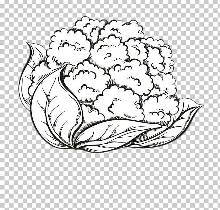 Cauliflower Cheese Broccoli Drawing PNG, Clipart, Black, Brassica Oleracea, Cartoon, Cauliflower, Flower Free PNG Download
