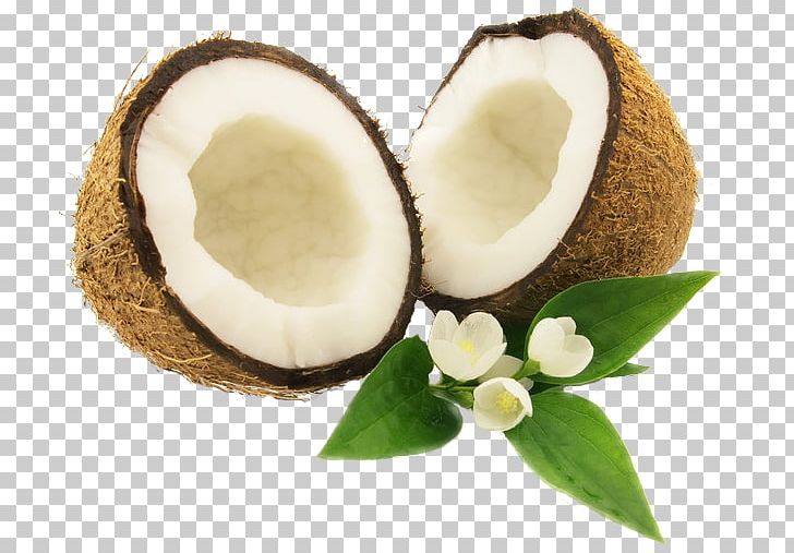 Coconut Milk PNG, Clipart, Coconut, Coconut Milk, Coconut Oil, Desktop Wallpaper, Fruit Nut Free PNG Download