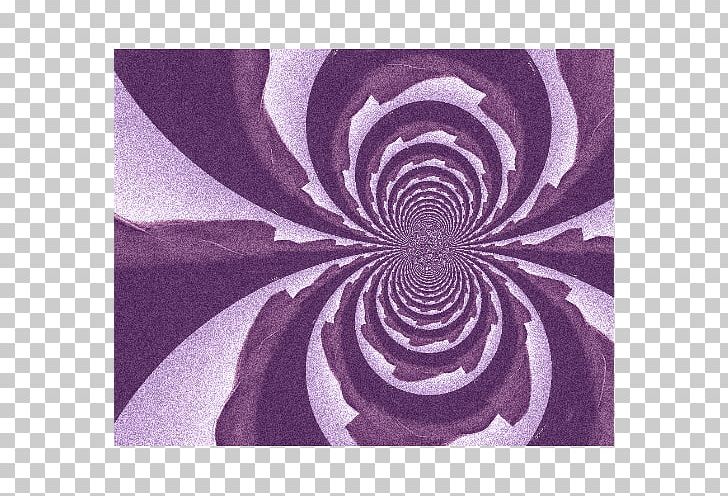 Spiral Pattern PNG, Clipart, Flower, Magenta, Others, Petal, Purple Free PNG Download