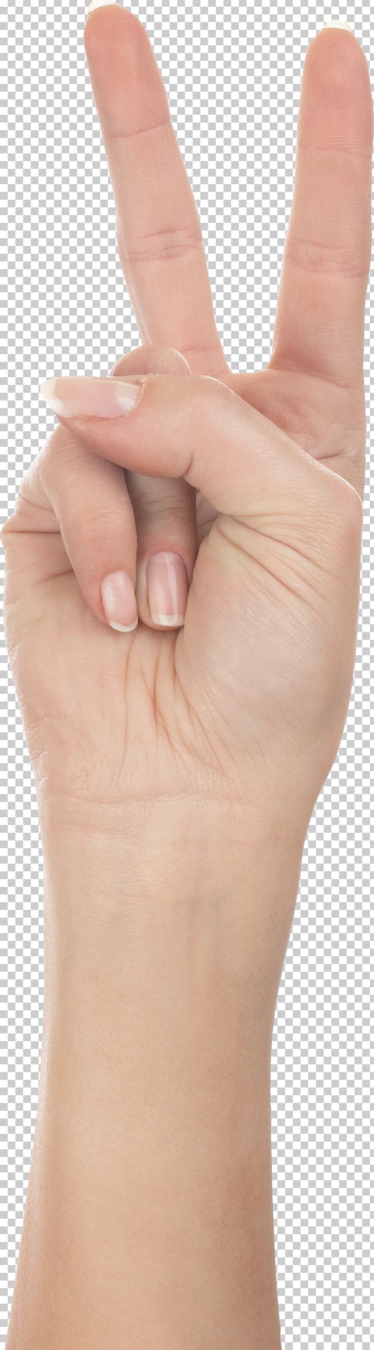 Thumb Upper Limb Hand Finger PNG, Clipart, Arm, Digit, Finger, Forearm, Hand Free PNG Download
