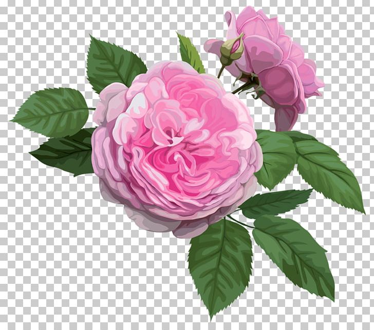 Gambia Paper Flower Rosa Chinensis Postage Stamp PNG, Clipart, Artificial Flower, Chinese, Chinese Rose, Cut Flowers, Floral Design Free PNG Download