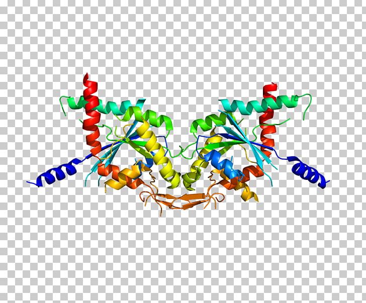 SEPT2 SEPT5 Protein Septin Gene PNG, Clipart, Area, Art, Brand, Computer Wallpaper, Data Free PNG Download