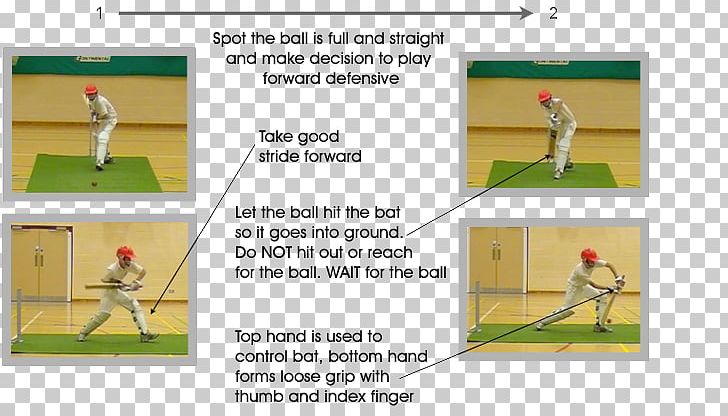 Ball Game Australia National Cricket Team Batting PNG, Clipart, Angle, Area, Australia National Cricket Team, Ball, Ball Game Free PNG Download