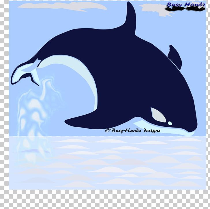 Killer Whale Common Bottlenose Dolphin Tucuxi Marine Biology Desktop PNG, Clipart, Animal, Animals, Biology, Blue Ocean, Bottlenose Dolphin Free PNG Download