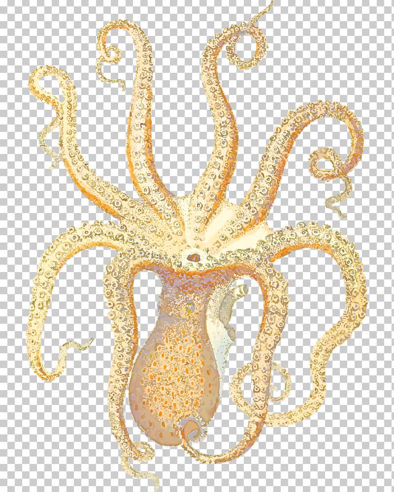 Octopus Gold Marine Science Biology PNG, Clipart, Biology, Chemistry, Gold, Marine, Octopus Free PNG Download