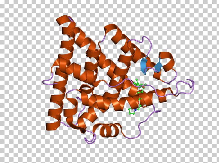 Estrogen Receptor Alpha DNA-binding Domain Nuclear Receptor PNG, Clipart, Dnabinding Domain, Dnabinding Protein, Estrogen, Estrogen Receptor, Estrogen Receptor Alpha Free PNG Download