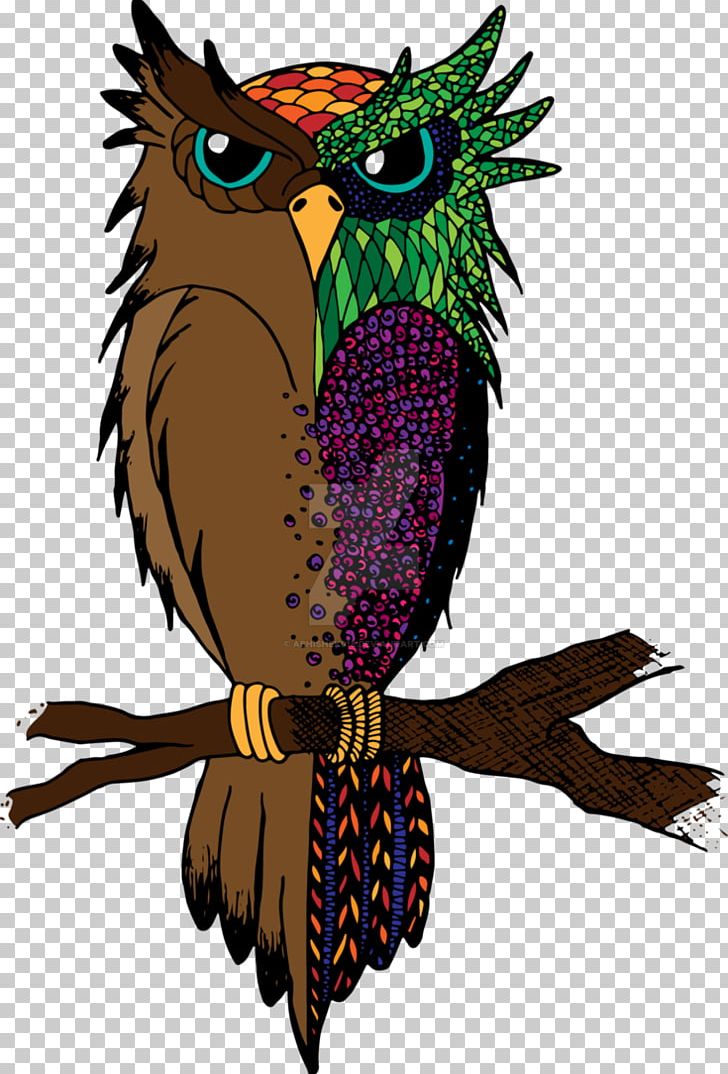 Owl Beak Feather PNG, Clipart, Animals, Art, Beak, Bird, Bird Of Prey Free PNG Download