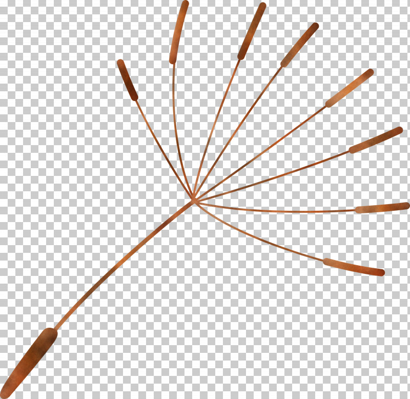 Dandelion PNG, Clipart, Dandelion, Geometry, Line, Mathematics Free PNG Download