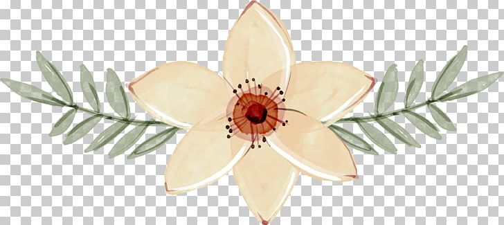 Floral Design Graphic Design User Interface Design PNG, Clipart, Christmas Decoration, Cut Flowers, Decoration, Decorations, Decorative Elements Free PNG Download