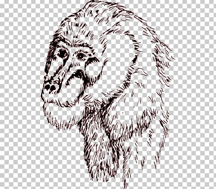 Dog Common Chimpanzee Drawing PNG, Clipart, Animal, Animals, Art, Artwork, Bear Free PNG Download