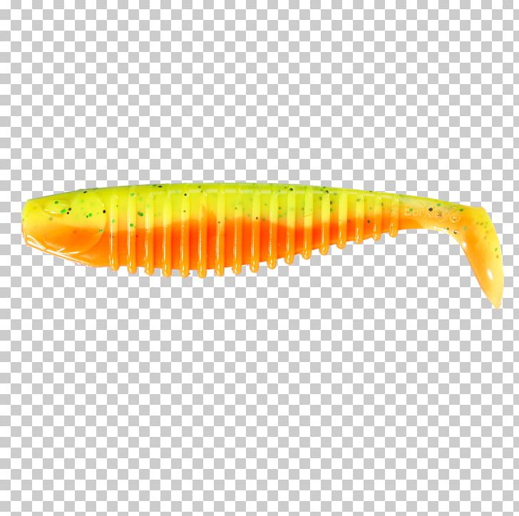 Fishing Baits & Lures Northern Pike Centimeter Recreational Fishing PNG, Clipart, Bait, Centimeter, Color, Fish, Fishing Bait Free PNG Download