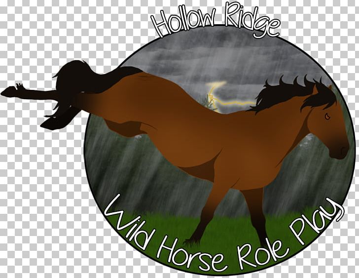 Mustang Freikörperkultur Beak Tail Horse PNG, Clipart, 2019 Ford Mustang, Beak, Ford Mustang, Horse, Horse Like Mammal Free PNG Download