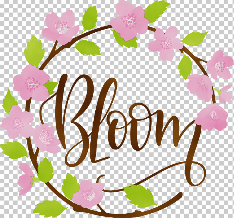 Floral Design PNG, Clipart, Bloom, Cut Flowers, Flora, Floral Design, Flower Free PNG Download
