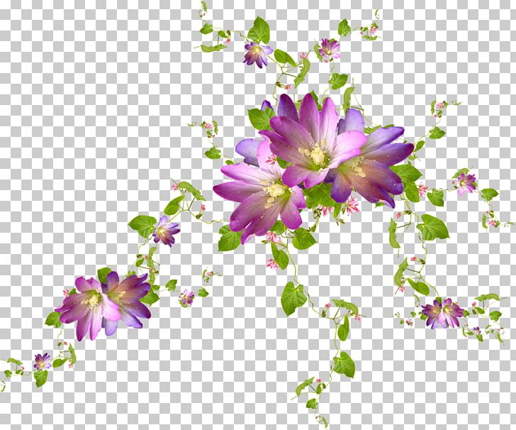 Cut Flowers Purple Violet Floral Design PNG, Clipart, Annual Plant, Blossom, Branch, Color, Computer Wallpaper Free PNG Download