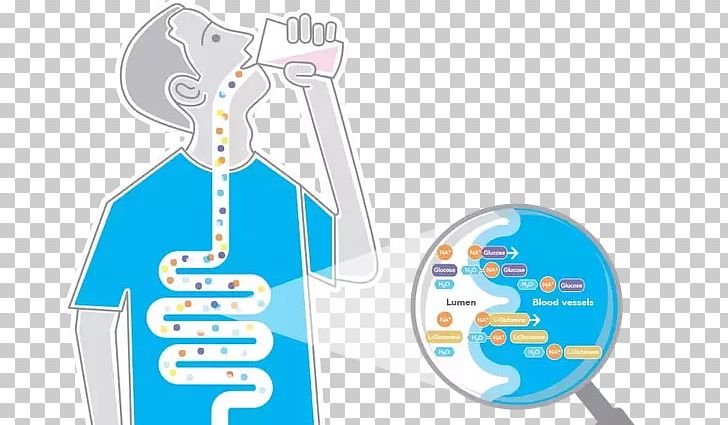 Drinking Water Human Body Health PNG, Clipart, Area, Cell, Communication, Dehydration, Diagram Free PNG Download
