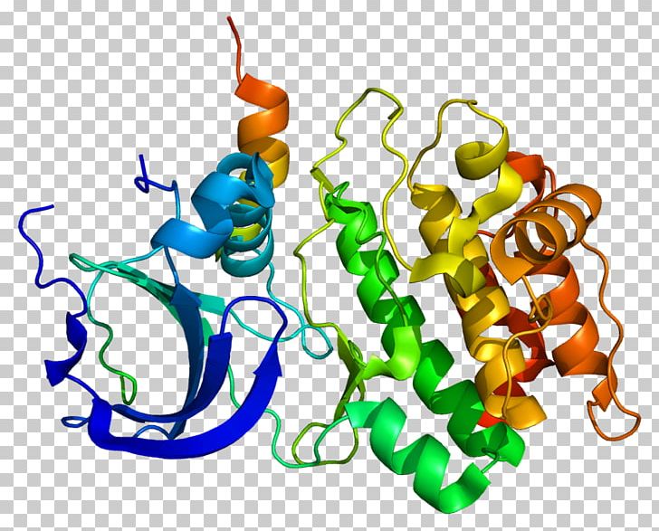 TPX2 Gene Aurora A Kinase Microtubule Structure PNG, Clipart, Art, Artwork, Aurora A Kinase, Axon, Axon Hillock Free PNG Download