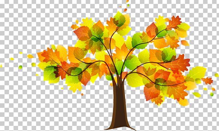Autumn Free Content PNG, Clipart, Autumn, Autumn Cliparts, Autumn Leaf Color, Blog, Branch Free PNG Download