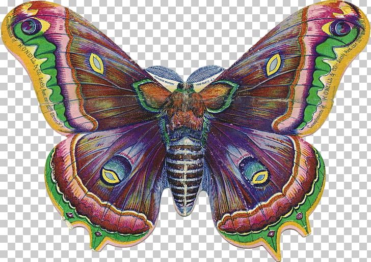 Butterfly Victorian Era Drawing PNG, Clipart, Art, Arthropod, Bombycidae, Brush Footed Butterfly, Butterfly Free PNG Download
