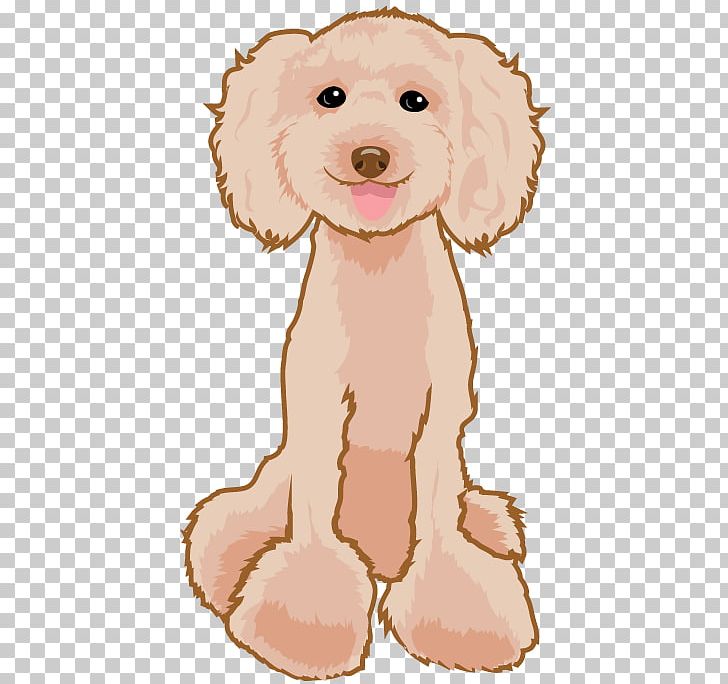 Dog Breed Puppy Poodle Companion Dog PNG, Clipart, Apricot, Art, Blog, Breed, Carnivoran Free PNG Download