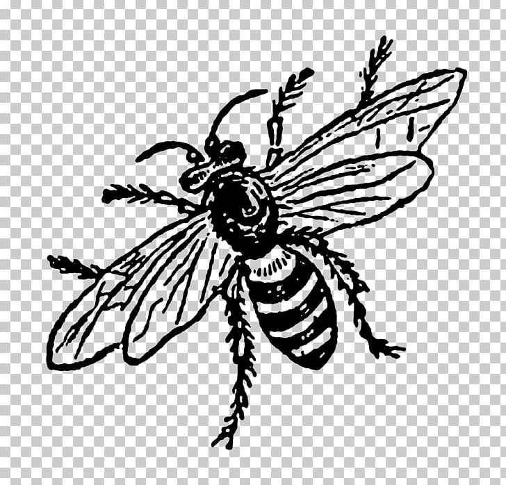 Insect Honey Bee Visual Arts Pollinator PNG, Clipart, Animal, Animals, Arthropod, Artwork, Bee Free PNG Download