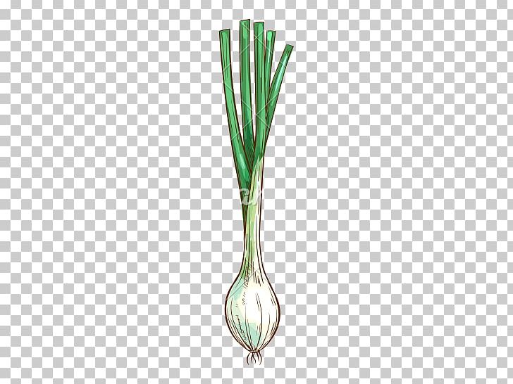 Onion Allium Fistulosum Plant Scallion PNG, Clipart, Allium, Allium Fistulosum, Computer Icons, Cutlery, Leaf Free PNG Download