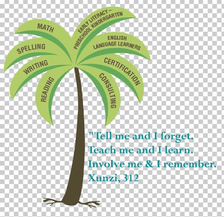 Orton-Gillingham Palm Trees Brand Font Training PNG, Clipart, Brand, Organism, Ortongillingham, Palm Tree, Palm Trees Free PNG Download