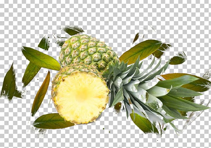 Pineapple Juice Fruit Leaf PNG, Clipart, Ananas, Auglis, Autumn Leaves, Bromeliaceae, Euclidean Vector Free PNG Download