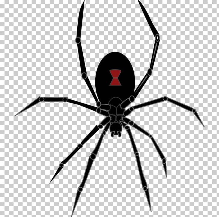 Redback Spider Southern Black Widow Drawing PNG, Clipart, Arachnid, Arthropod, Black And White, Black Widow, Drawing Free PNG Download