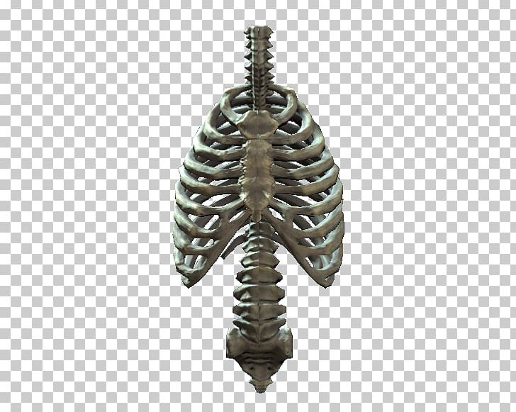 Rib Cage Human Skeleton Human Body PNG, Clipart, Anatomy, Bone, Heart, Human Body, Human Skeleton Free PNG Download