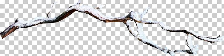 Branch Snow PNG, Clipart, Branch, Branches, Creative, Creative Branches, Creativity Free PNG Download