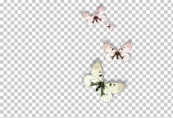 Butterfly Animal Moth Dog PNG, Clipart, Animal, Anime, Brush Footed Butterfly, Butterfly, Cicek Free PNG Download