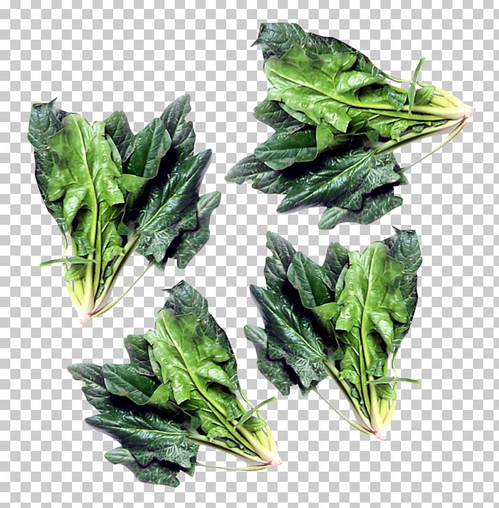 Spinach Vegetarian Cuisine Chard Komatsuna Vegetable PNG, Clipart, Chard, Chinese Broccoli, Choy Sum, Collard Greens, Food Free PNG Download