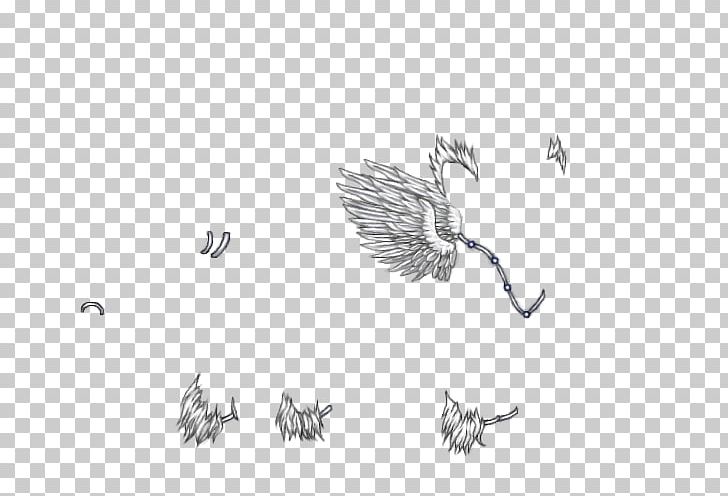 Line Art White Mammal Sketch PNG, Clipart, Artwork, Bird, Black, Black And White, Branch Free PNG Download