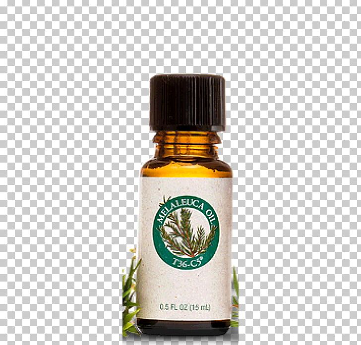 Narrow-leaved Paperbark Tea Tree Oil Melaleuca Essential Oil PNG, Clipart, Acne, Antiseptic, C 5, Camellia Sinensis, Common Cold Free PNG Download