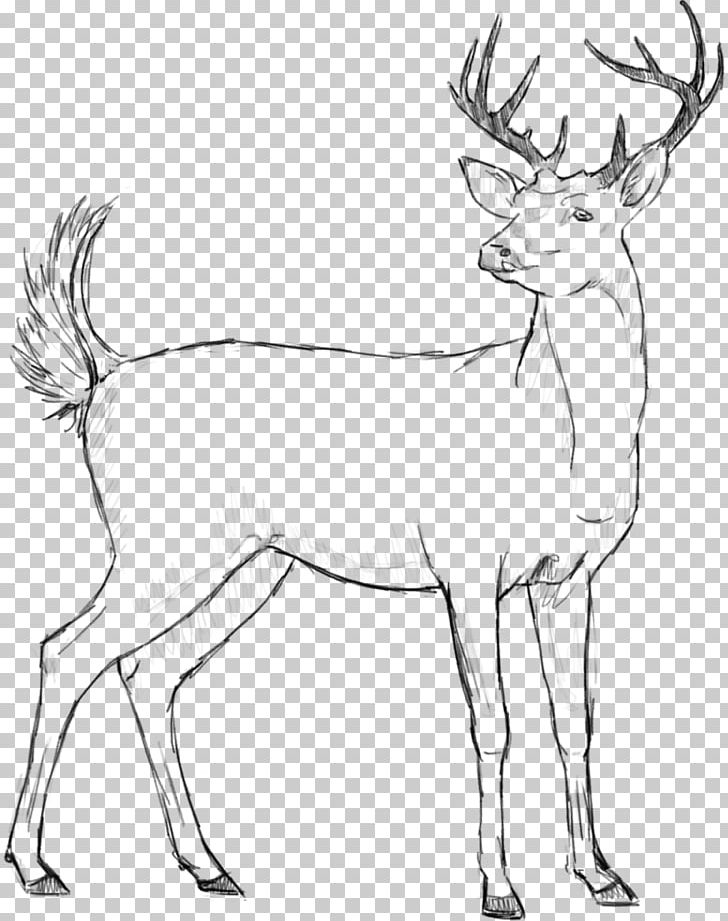 Reindeer Elk Line Art Horn PNG, Clipart, Animal, Animals, Antler, Artwork, Black And White Free PNG Download