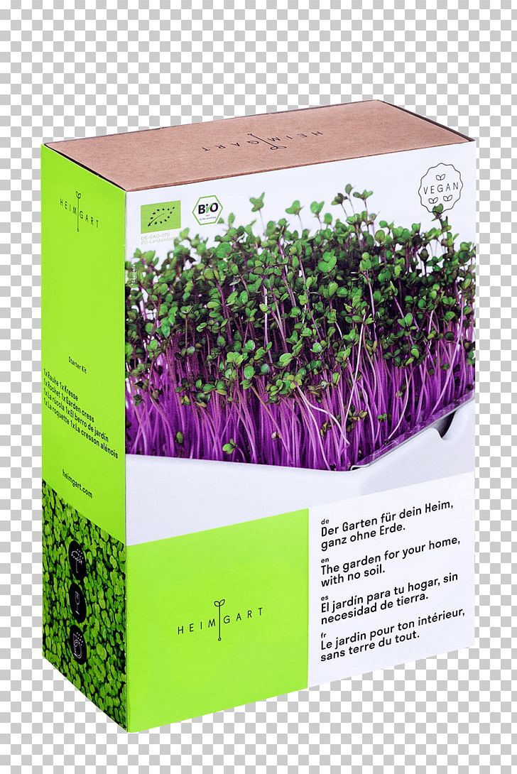Tickets | VIVANESS Microgreen Organic Food Superfood PNG, Clipart, Biofach, Bowl, Food, Grass, Greens Free PNG Download