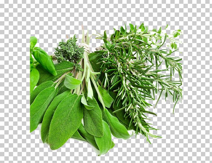 Herbalism Mediterranean Cuisine Food Spice PNG, Clipart, Aufguss, Cooking, Fines Herbes, Flavor, Food Free PNG Download