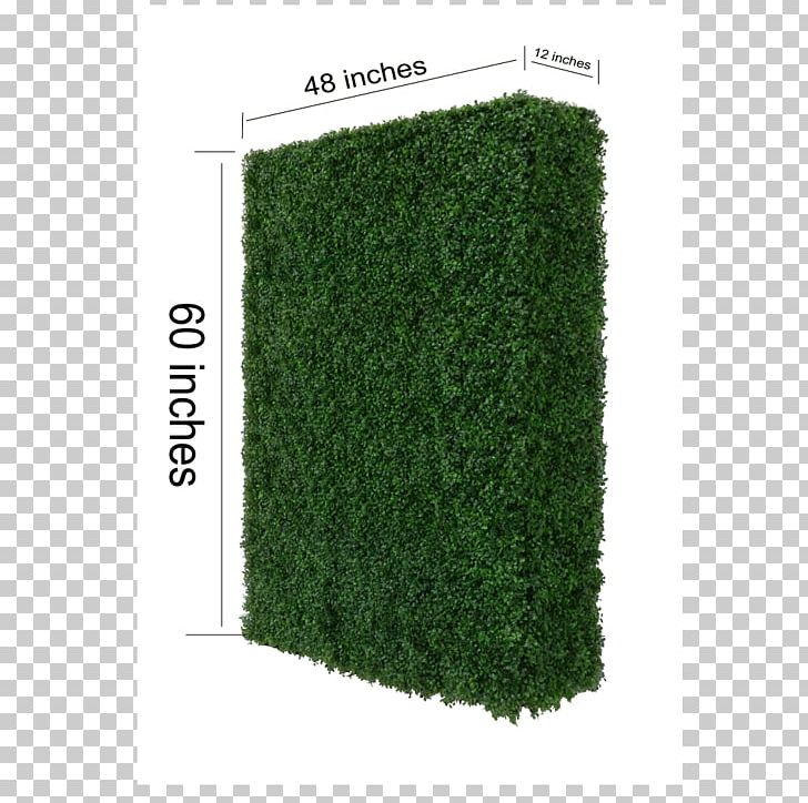 Shrub PNG, Clipart, Boxwood, Grass, Others, Plant, Shrub Free PNG Download