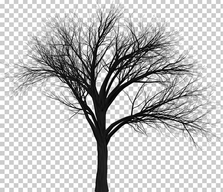 Tree Branch PNG, Clipart, Black And White, Branch, Cemetery, Clip Art, Data Free PNG Download