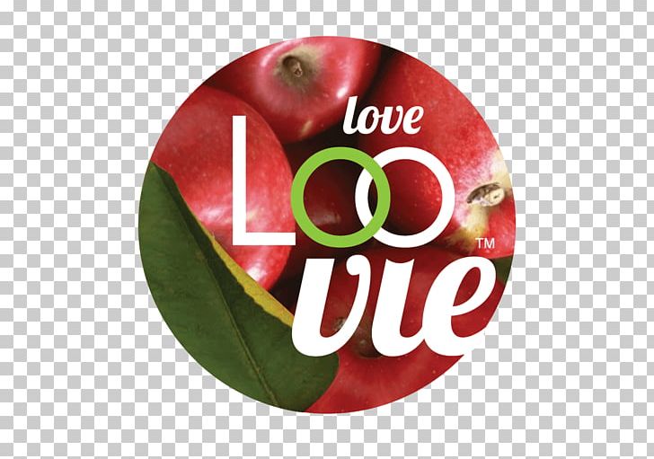 Apple Juice Orange Juice Organic Food PNG, Clipart, Apple Juice, Christmas Ornament, Com, Food, Fruit Free PNG Download