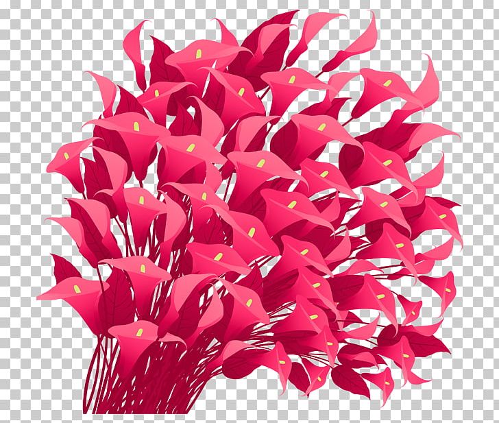 Cut Flowers Red PNG, Clipart, Cut Flowers, Flower, Flowering Plant, Gift, Magenta Free PNG Download