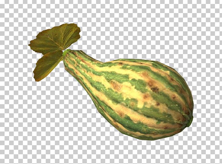 Gourd The Elder Scrolls V: Skyrim – Dragonborn Calabaza Watermelon Vegetable PNG, Clipart, Calabaza, Cucumber Gourd And Melon Family, Cucumis, Cucurbita, Elder Scrolls Free PNG Download